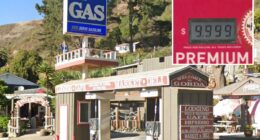 âThey probably could charge $20â